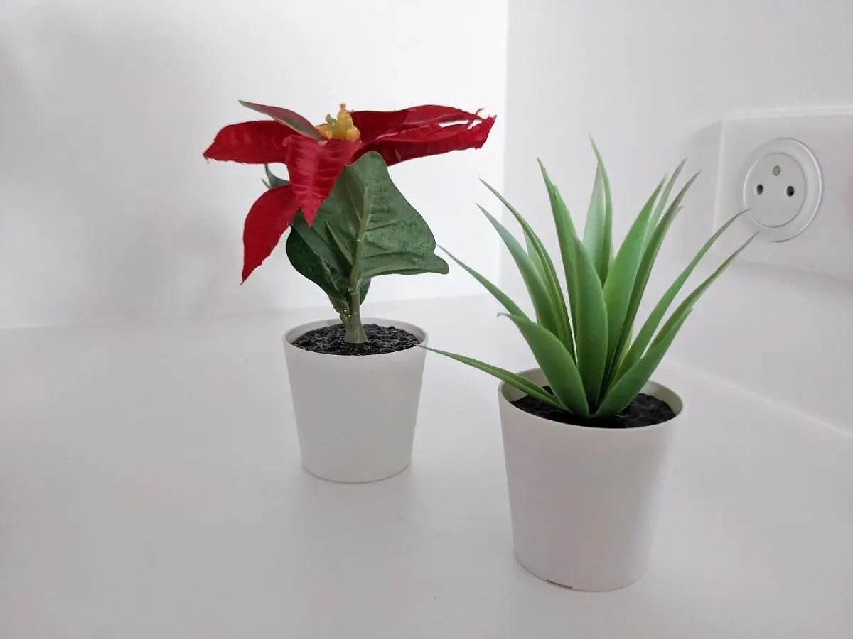 Reves Paisibles Rubis - Choisy Apartment  Choisy-le-Roi